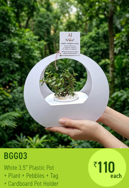 BGG03