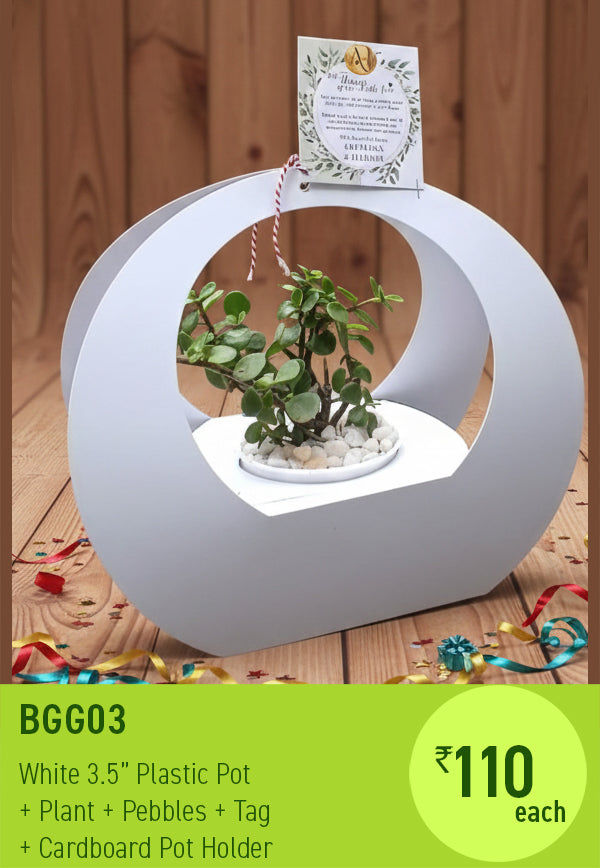 BGG03